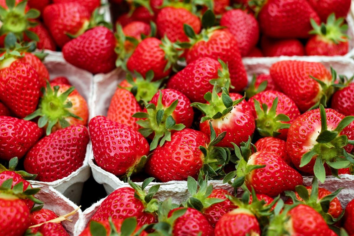 No-Bake Strawberry Summer Squares
