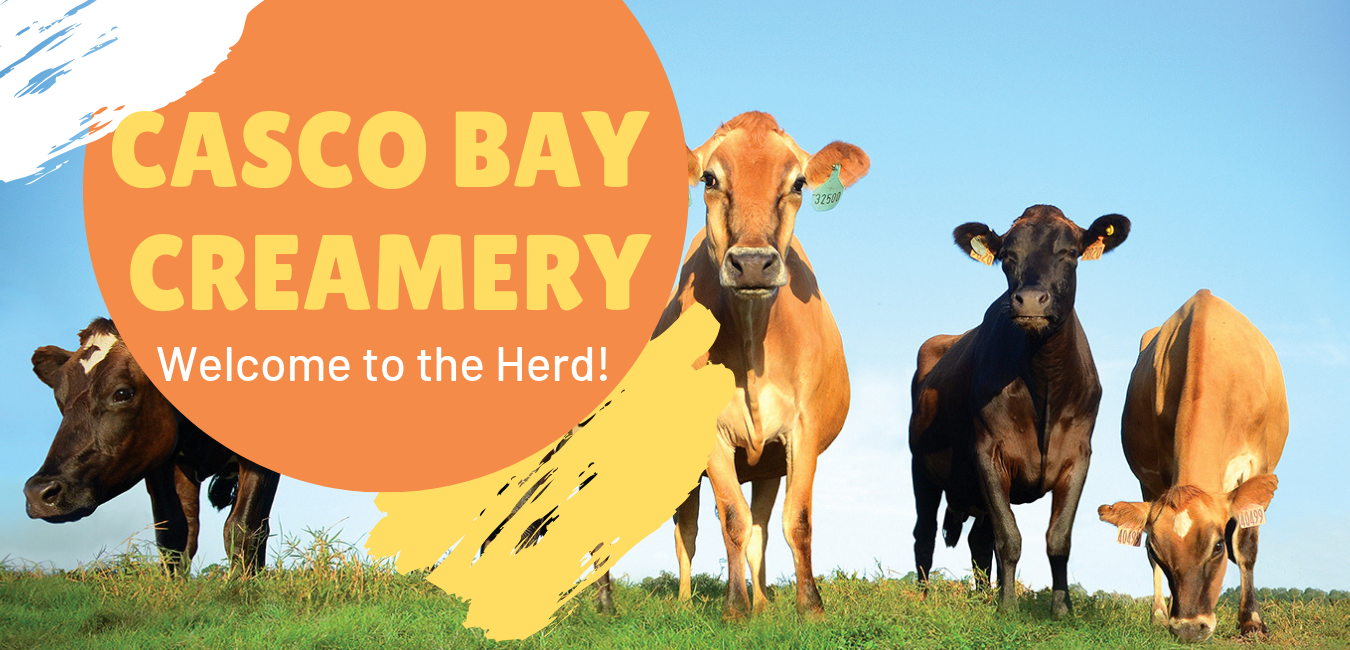 Casco Bay Creamery - Butter & Cream Cheese - small family dairy farms