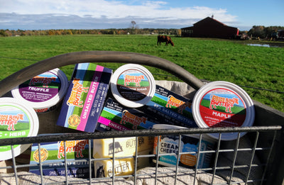 Follow Us on Instagram